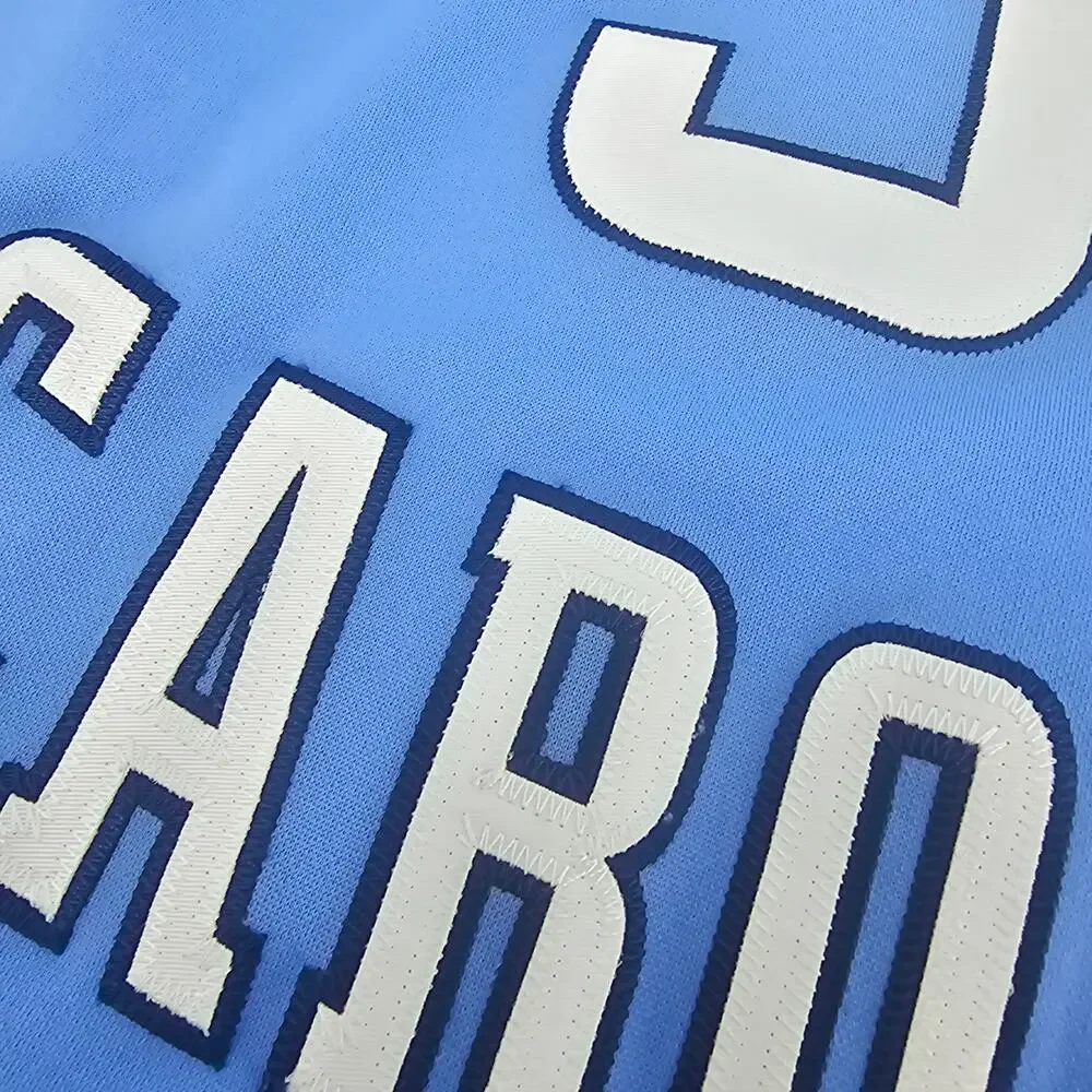Rare Jordan North Carolina Tar Heels Basketball jersey Hansbrough 50 L 4048